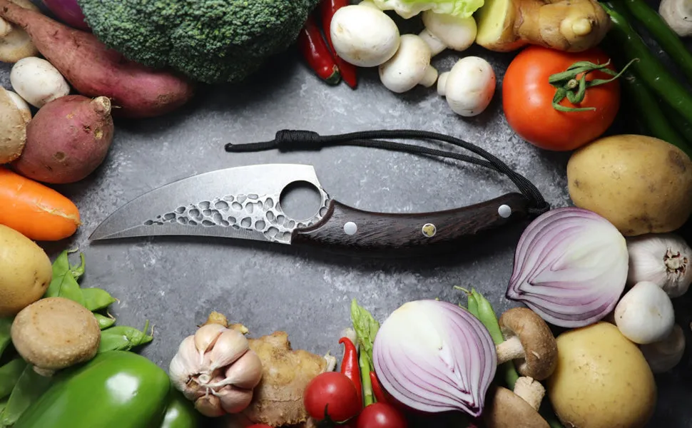 Viking Knife, AllynX hand forged boning knives for meat cutting, 5 Inch Huusk Chef Knives Meat Cleaver Butcher Knives, High Carbon Steel, for Kitchen, Camping, BBQ, Gift for Cook, Parents